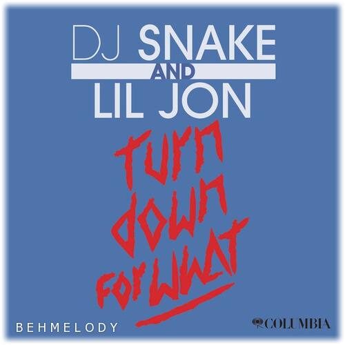 دانلود آهنگ شنیدنی Dj Snake به نام Turn Down for What   