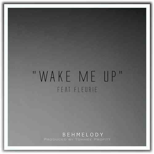 دانلود آهنگ شنیدنی Tommee Profitt به نام Wake Me Up  Mellen Gi Remix   