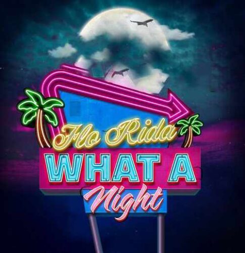 دانلود آهنگ زیبای Flo Rida به نام What A Night   