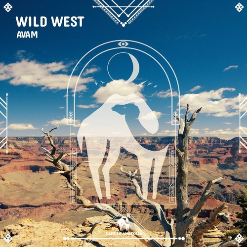 دانلود آهنگ بی کلام جدید AVAM به نام Wild West   