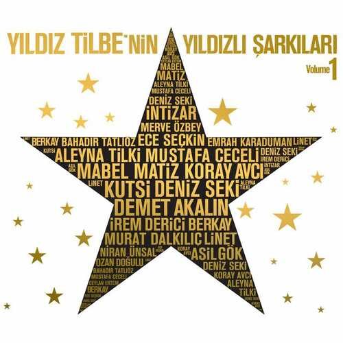 دانلود آهنگ ترکی Aleyna Tilki به نام Yalnız Çiçek   