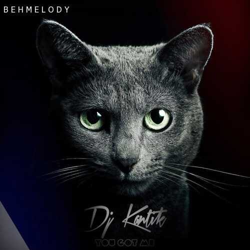 دانلود آهنگ جدید Dj Kantik به نام You Got Me   