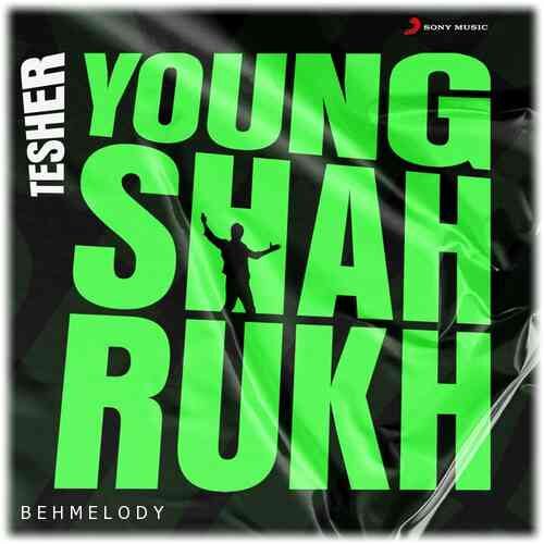 دانلود آهنگ شنیدنی Tesher به نام Young Shahrukh   