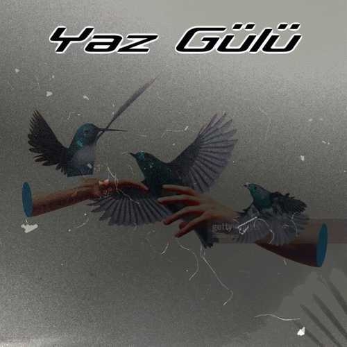 دانلود آهنگ جدید Yaz Gülü­­ از Zeliha Kendirci­   