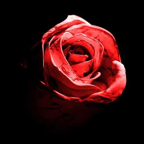 دانلود آهنگ جدید Romantic Homicide  Live Version از d4vd   