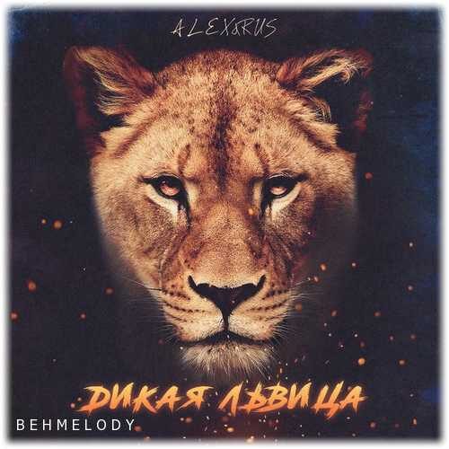 دانلود آهنگ روسی ALEXRUS به نام Дикая львица   