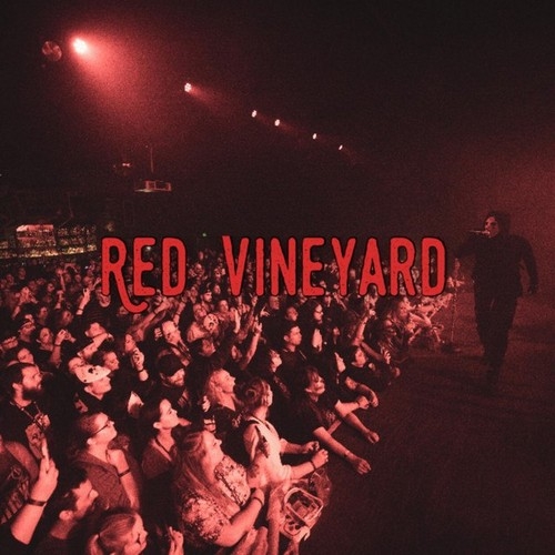 دانلود آهنگ Diggy Graves با نام Red Vineyard  
