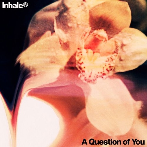 دانلود آهنگ Inhaler با نام A Question of You   