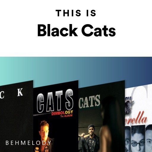 دانلود آهنگهای جدید و قدیمی بلک کتس (This Is Black Cats)   