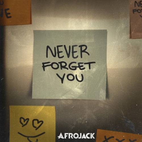 دانلود آهنگ AFROJACK با نام Never Forget You   