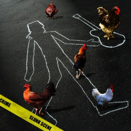 دانلود آهنگ Buckethead با نام Soothsayer (Dedicated to Aunt Suzie)   