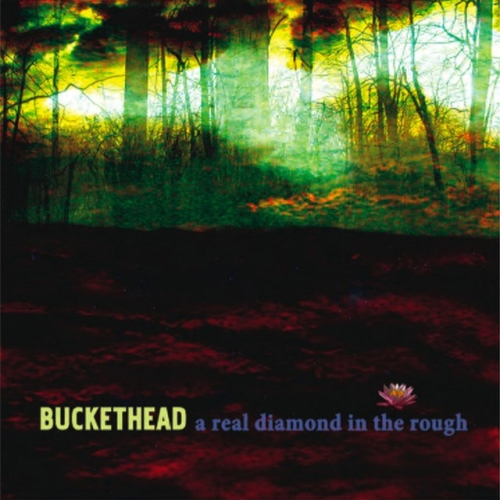 دانلود آهنگ Buckethead با نام The Miracle of Surrender   