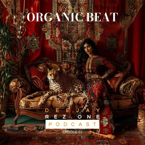 دانلود آهنگ DJ REZ ONE با نام Organic Beat EP02   