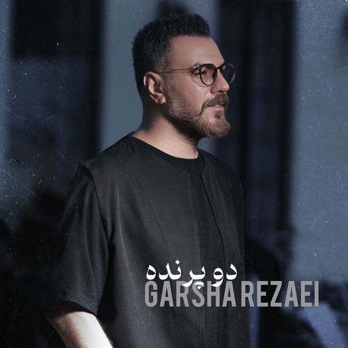 دانلود آهنگ گرشا رضایی با نام دو پرنده   
