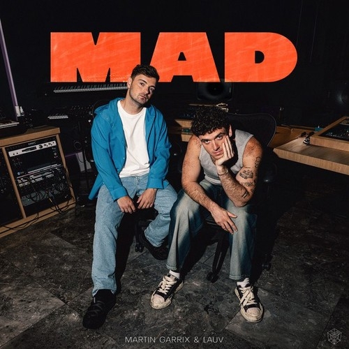 دانلود آهنگ Martin Garrix با نام MAD   