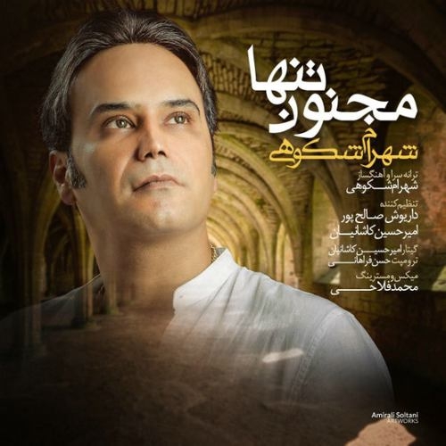 دانلود آهنگ شهرام شکوهی با نام مجنون تنها   