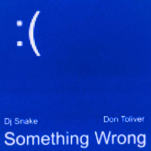 دانلود آهنگ DJ Snake با نام Something Wrong (with Don Toliver)  