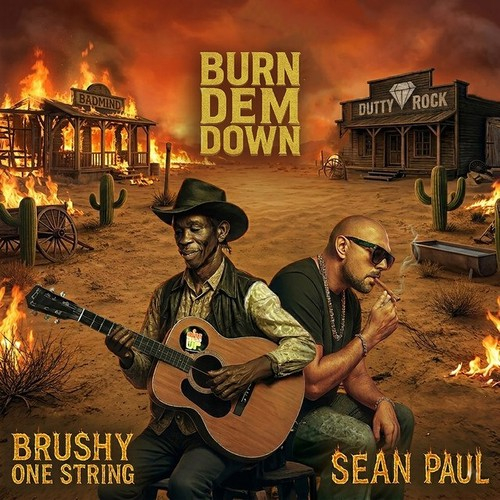 دانلود آهنگ Sean Paul با نام Burn Dem Down