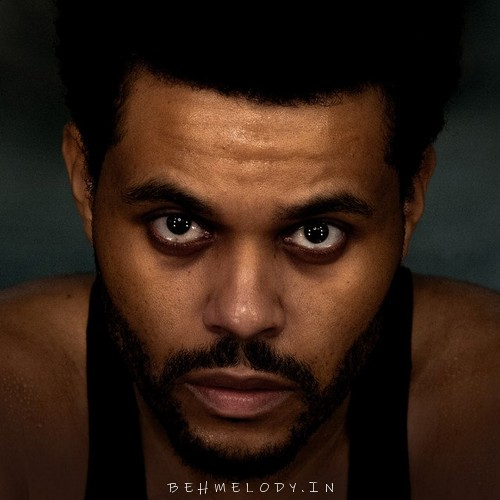 دانلود آهنگ اوپن هارتز از د ویکند The Weeknd  Open Hearts
